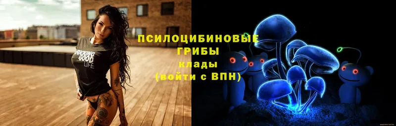 Псилоцибиновые грибы мицелий  Великие Луки 